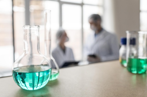 Drug Development Services